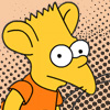 Rat